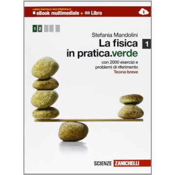 La Fisica In Pratica. Ediz. Verde. Con Espansione Online. Per Le Scuole Superiori  