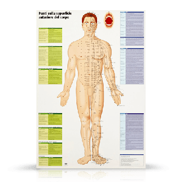Mappe dei punti di Agopuntura Poster Medicina Tradizionale Cinese