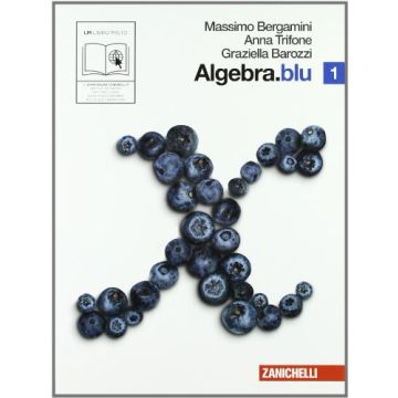 Algebra. Blu. Con Espansione Online. Per Le Scuole Superiori