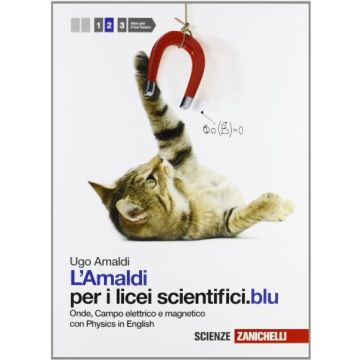 Amaldi Per I Licei Scientifici.blu. Con Physics In English. Con Espansione  Online Onde, Campo Elettrico E Magnetico 