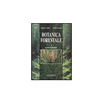 Botanica Forestale Gimnosperme - Gellini Romano; Grossoni Paolo - Cedam - 9788813197858