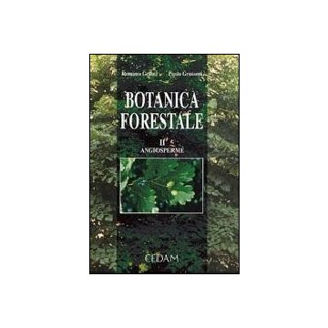 Botanica Forestale Angiosperme - Gellini Romano; Grossoni Paolo - Cedam - 9788813202606