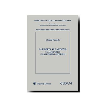 La libertà su cauzione. Un'alternativa alla custodia carceraria