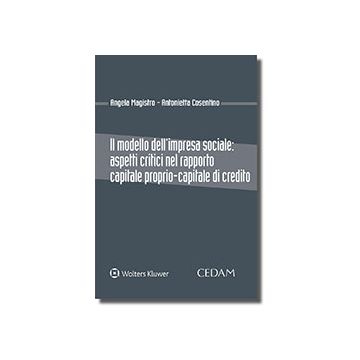 Il modello dell'impresa sociale: aspetti critici nel rapporto capitale proprio-capitale di credito