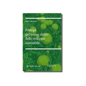 Principi del nuovo diritto dello sviluppo sostenibile
