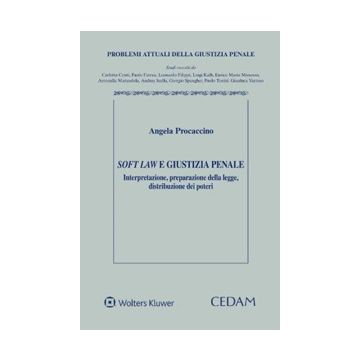 Soft law e giustizia penale