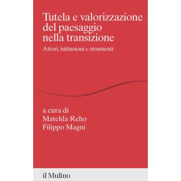 Tutela e valorizzazione del paesaggio nella transizione. Attori, istituzioni e strumenti