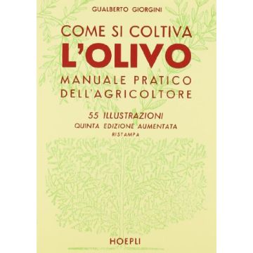 Come Si Coltiva L'olivo
