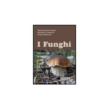 Guida Ai Funghi In Italia