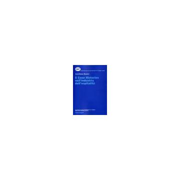 Cinque Case Histories Nell'industria Dell'ospitalita' - Bonini Aureliano - Franco Angeli - 9788820487225