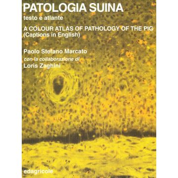 Patologia Suina. Testo Atlante - A colour atlas of pathology of the pig 1/Ed. [Marcato P. - Edagricole]