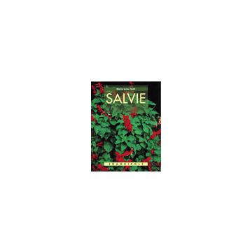 Salvie 1/Ed. [Sotti M. L. - Edagricole]