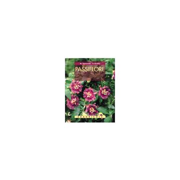 Passiflore 1/Ed. [Sgaravatti M. - Edagricole]