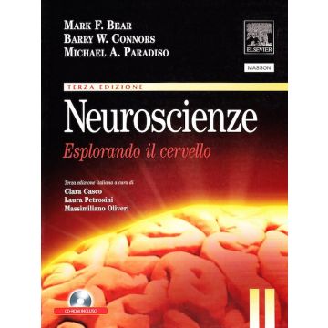 Bear Neuroscienze Esplorando il cervello elsevier masson edra