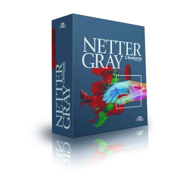Netter Gray. L'anatomia: Anatomia del Gray 41/ed. + Atlante di Anatomia umana di Netter 6/ed. (Copertine morbide)