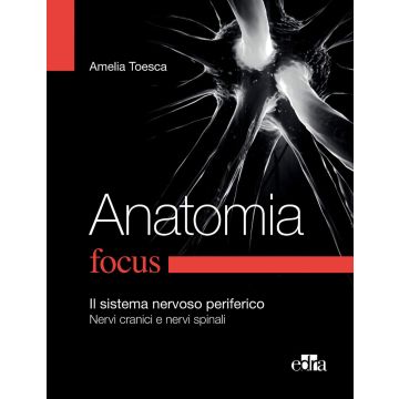 ANATOMIA FOCUS. Il Sistema Nervoso Periferico. Nervi cranici e nervi spinali