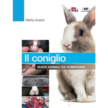 Il coniglio. Nuovi animali da compagnia [Marta Avanzi - Edra] 