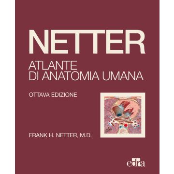 Netter. Atlante di anatomia umana 8/ed. (Copertina morbida)  [Edra Elsevier Masson]