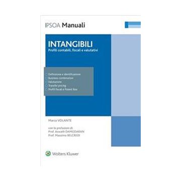 Intangibili: profili contabili fiscali e valutativi