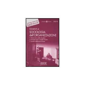 Elementi Di Sociologia Dell'organizzazione - Micillo R.  - Simone - 9788824453691