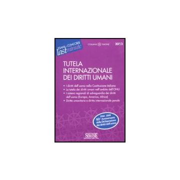Tutela Internazionale Dei Diritti Umani - Caccaviello C.  - Simone - 9788824460774