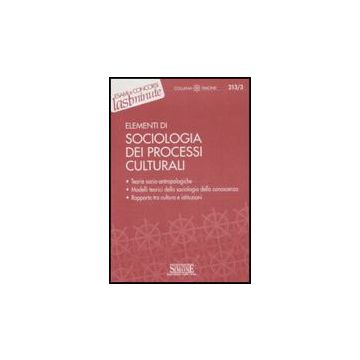 Elementi Di Sociologia Dei Processi Culturali - Quinto G.  - Simone - 9788824462440