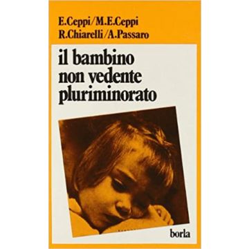 Il bambino non vedente pluriminorato