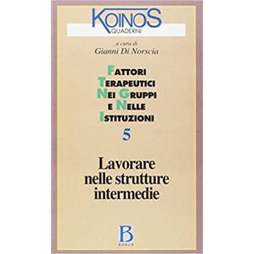 Quaderni di Koinos. Vol. 5: Lavorare nelle strutture intermedie. Fattori terapeutici nei gruppi e nelle istituzioni