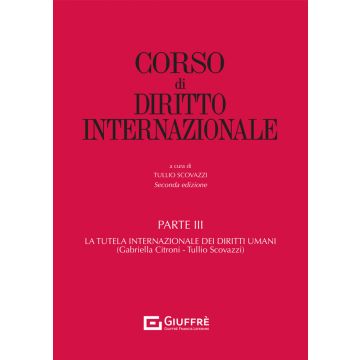 Corso di diritto internazionale: Parte III - La tutela internazionale dei diritti umani 2/ed.