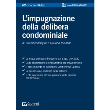 L'impugnazione della delibera condominiale