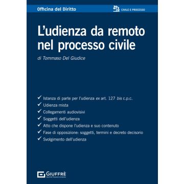 L'udienza da remoto nel processo civile