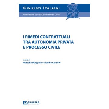 I rimedi contrattuali tra autonomia privata e processo civile