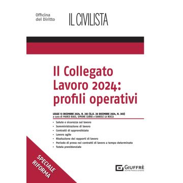 Il collegato lavoro 2024: profili operativi (Biasi, Carrà, Rocca - Giuffrè)