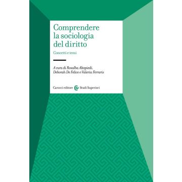 Comprendere la sociologia del diritto. Concetti e temi