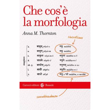 Che cos'e' la morfologia