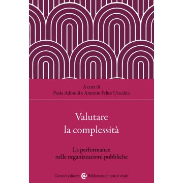 Valutare la complessità. La performance nelle organizzazioni pubbliche