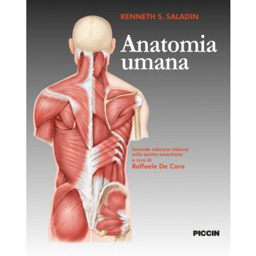 Anatomia Umana  5/ed. (2/ed. Italiana) [Saladin - Piccin Editore]