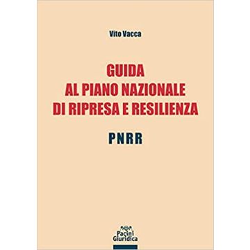 Guida al piano nazionale di ripresa e resilienza
