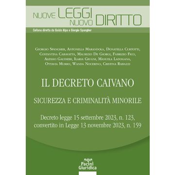 Il decreto Caivano. Sicurezza e criminalità minorile