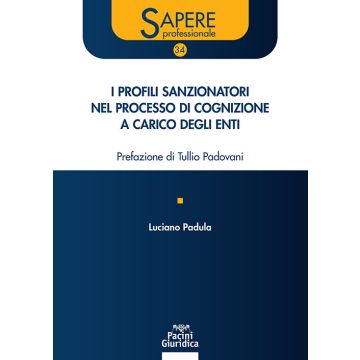 I profili sanzionatori nel processo di cognizione a carico degli enti