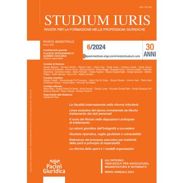Studium iuris. Rivista per la formazione nelle professioni giuridiche (2024). Vol. 6