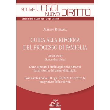 Guida alla riforma del processo di famiglia. Come superare i dubbi applicativi nascenti dalla riforma del diritto di famiglia. Cosa cambia nuovamente dopo il D. Lgs. 164/2024 correttivo (e integrativo) della riforma