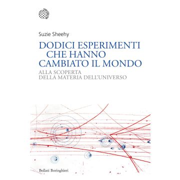 Dodici esperimenti che hanno cambiato il mondo. Alla scoperta della materia dell'universo