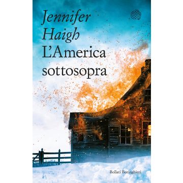 L'America sottosopra