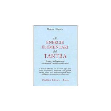 Le Energie Elementari Del Tantra. Il Lavoro Sulle Emozioni Attraverso Il Simbolismo Dei Colori  - Chogyam Ngakpa - Astrolabio - 9788834010228