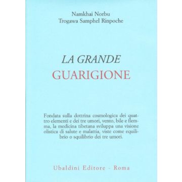 La Grande Guarigione. Insegnamenti Di Medicina Tibetana  - Namkhai Norbu; Sampel Trogaw - Astrolabio - 9788834013649