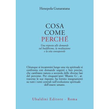 Cosa, come, perché. Una risposta alle domande sul buddhismo la meditazione e la vita consapevole