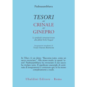 Tesori dal crinale del ginepro. Le profonde istruzioni-tesoro alla dâkinî Yeshe Tsogyal