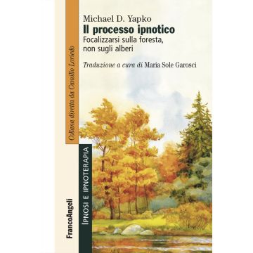 Il processo ipnotico. Focalizzarsi sulla foresta, non sugli alberi