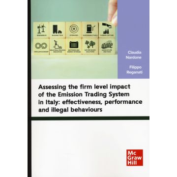 Assessing the firm level impact of the Emission Trading System in Italy: effectiveness, performance and illegal behaviours